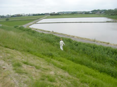 河川敷周辺清掃活動